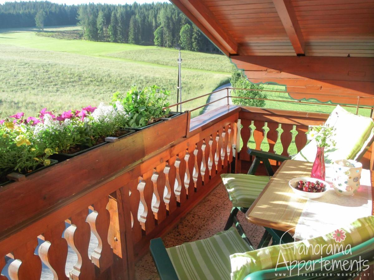 Panorama Appartement Ramsau am Dachstein Zewnętrze zdjęcie