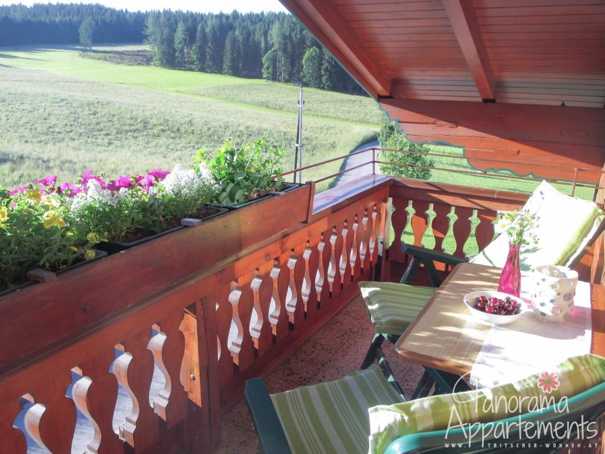 Panorama Appartement Ramsau am Dachstein Zewnętrze zdjęcie