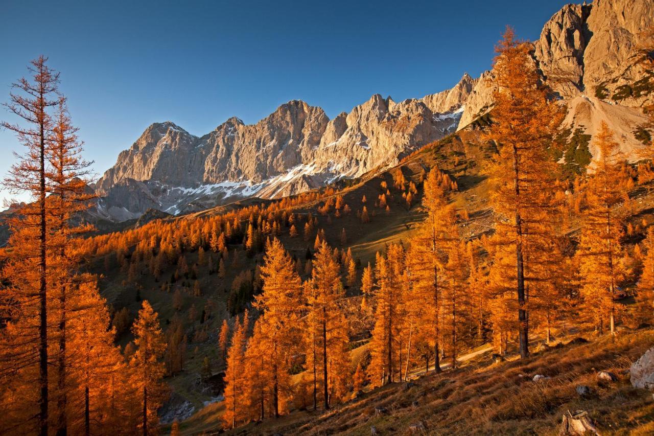 Panorama Appartement Ramsau am Dachstein Zewnętrze zdjęcie